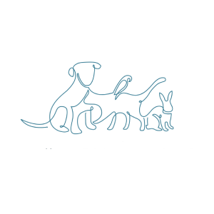 Kensington Vet Care